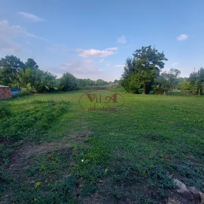 Turija | 4zida.rs