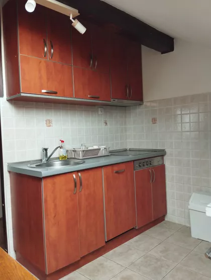 Svetozara Papića | 4zida.rs