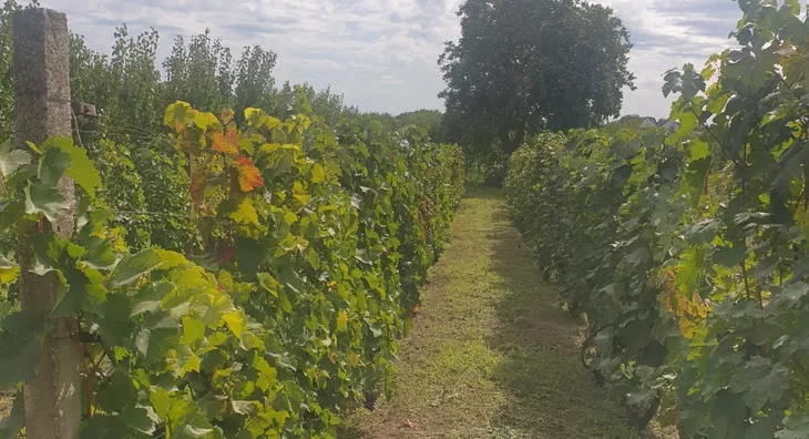 Poljoprivredno zemljište | 4zida