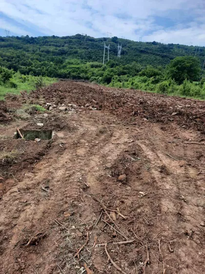 Nikola Tesla | 4zida.rs