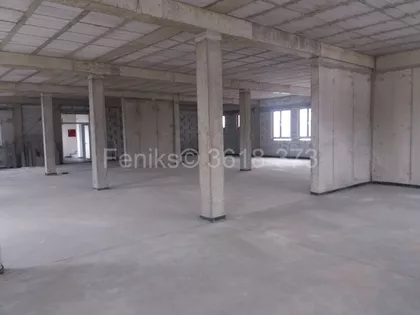 Bežanijska kosa | 4zida.rs