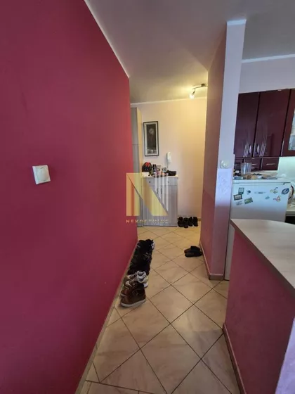 Cara Dušana | 4zida.rs