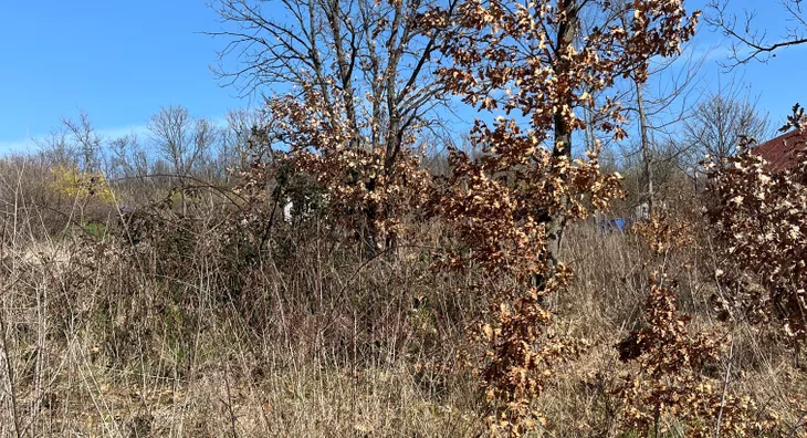 Poljoprivredno zemljište | 4zida