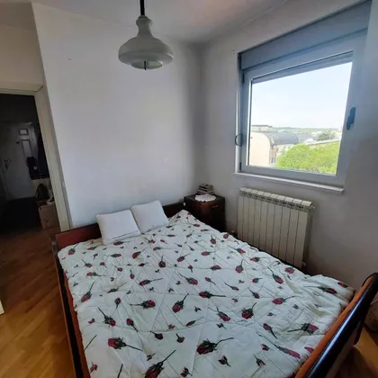 Cankareva | 4zida.rs