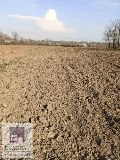 Veliko Polje | 4zida.rs