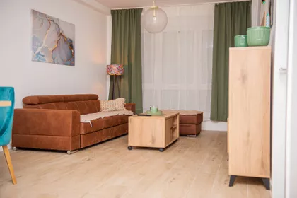 Lajoša Joa 48 | 4zida.rs