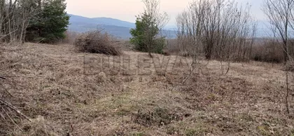 Donje Vlase | 4zida.rs