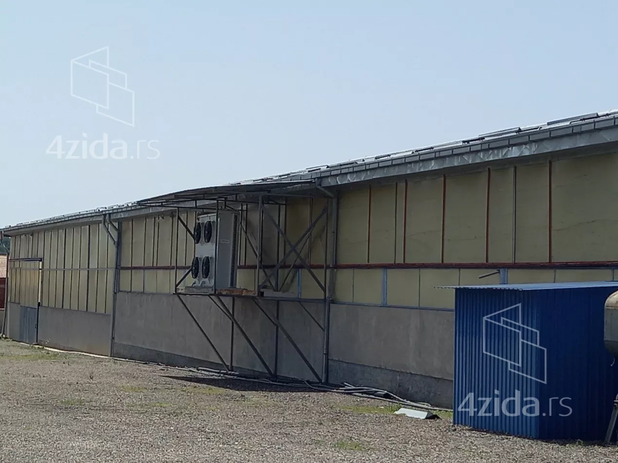 Hala | 4zida