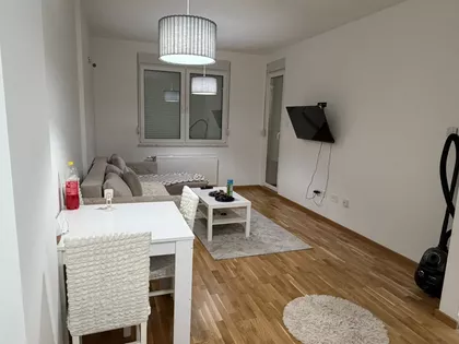 Rumenački Put | 4zida.rs