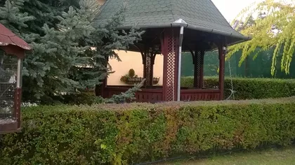 Palić | 4zida.rs