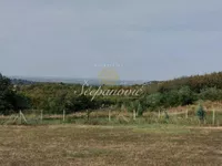 Alibegovac, Petrovaradin, Gradske lokacije, Novi Sad | 4zida.rs