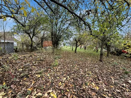 Bavaništanski put | 4zida.rs