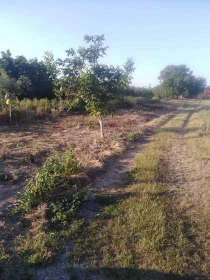 Batajnički Vinogradi | 4zida.rs