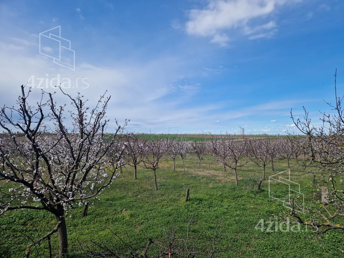 Poljoprivredno zemljište | 4zida