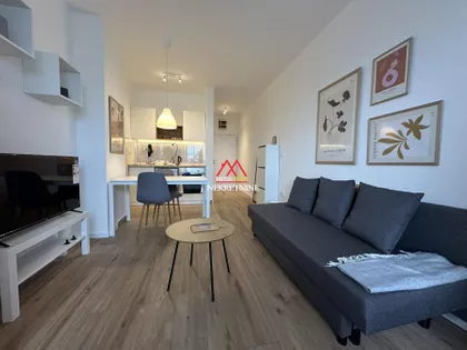 Laze Kostića | 4zida.rs