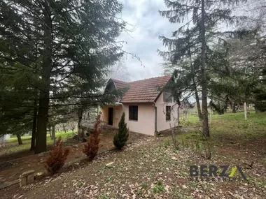 Čortanovci