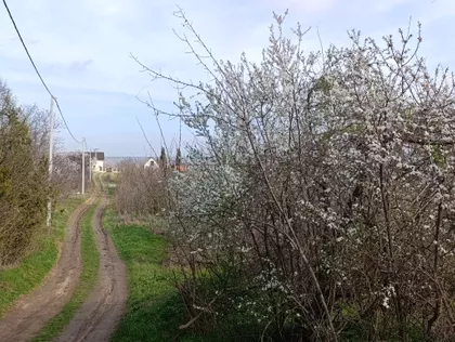 Švapska | 4zida.rs