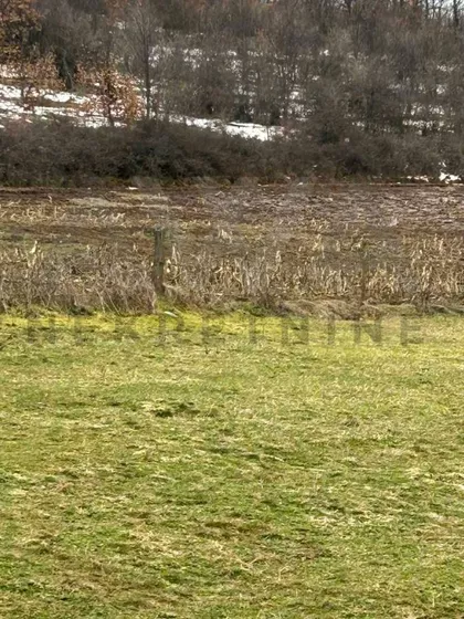 Gradske lokacije | 4zida.rs