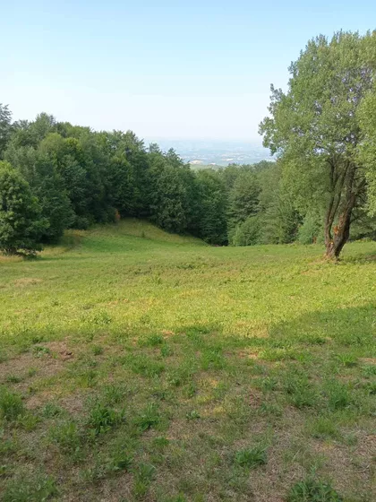 Povlenska | 4zida.rs