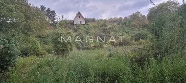 Čortanovci