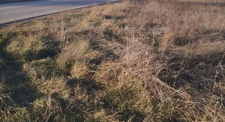 Poljoprivredno zemljište | 4zida