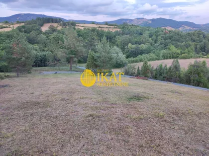 Čeda Vujadinovića | 4zida.rs