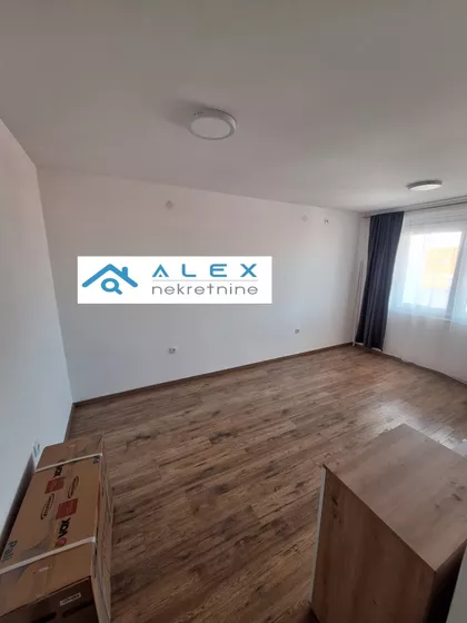 Janka Veselinovića | 4zida.rs