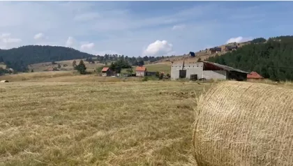 Kobilja Glava | 4zida.rs