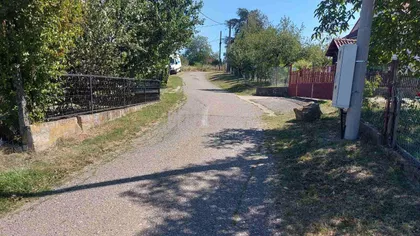 Potes Žuti Potok | 4zida.rs