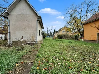 Bavaništanski put | 4zida.rs