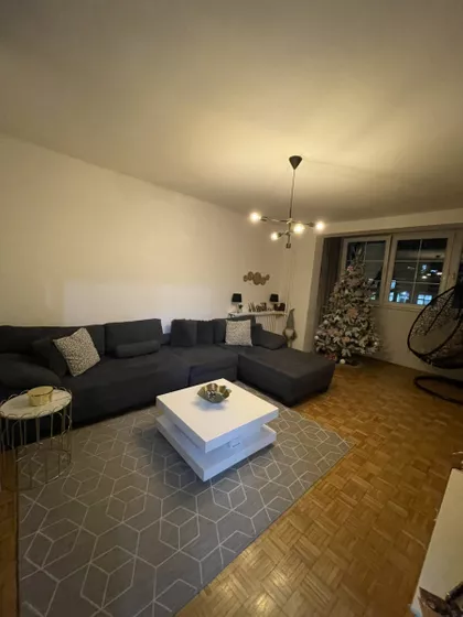 Stara Detelinara | 4zida.rs