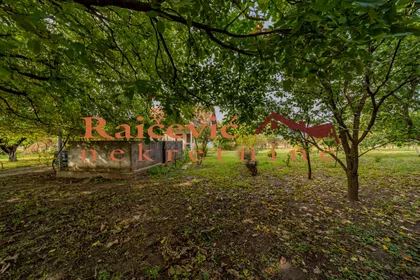 Patrijarha Pavla | 4zida.rs