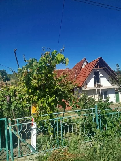 Dubrava | 4zida.rs