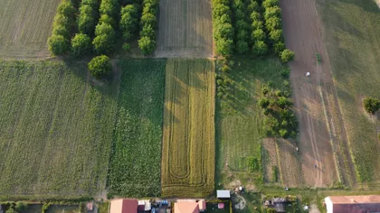 Nebojše Popovića | 4zida.rs