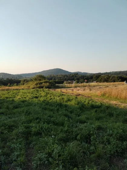 Žunje | 4zida.rs