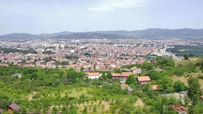Delijski Vis | 4zida.rs