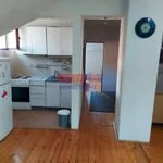 Beograd, Zemun opština, Galenika | 4zida.rs | 4zida.rs