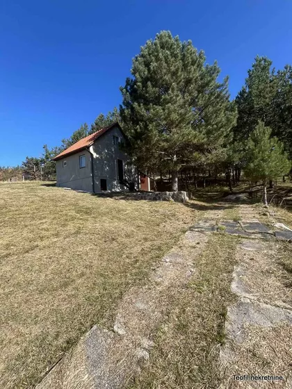 Divčibarska | 4zida.rs