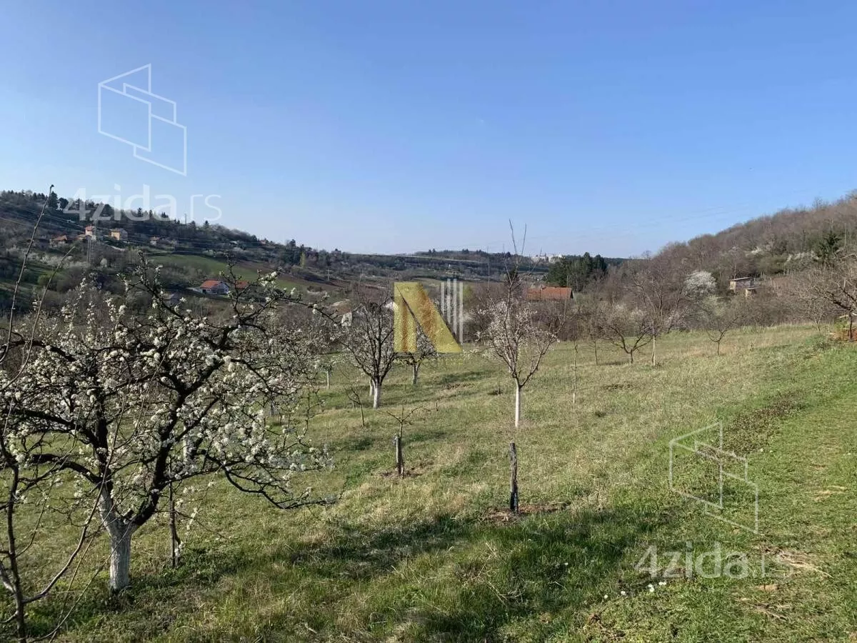 Plac | 4zida