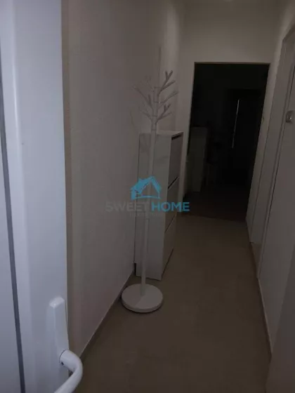 Zorana Radmilovića | 4zida.rs