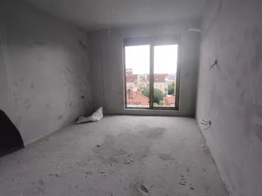 Živka Davidovića