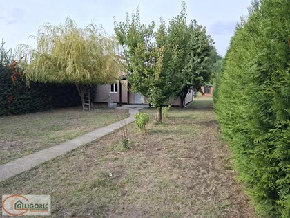 Milana Butozana | 4zida.rs