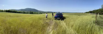 Despota Stevana Lazarevića | 4zida.rs