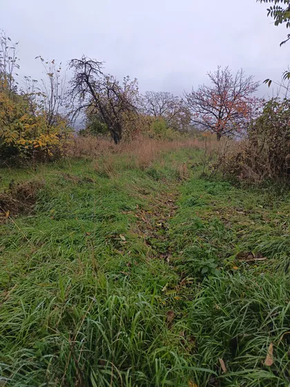 Beloševac | 4zida.rs