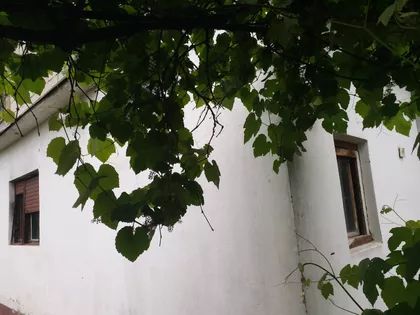 Kozaračka | 4zida.rs