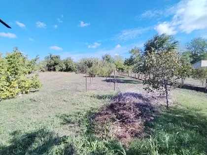 Opština Zrenjanin, Ečka | 4zida.rs