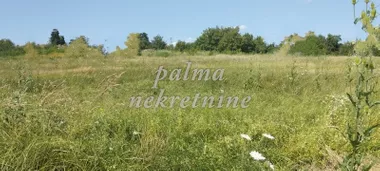 Vinogradi