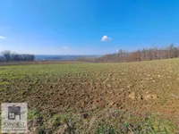 Mislođin, Obrenovac opština, Beograd | 4zida.rs