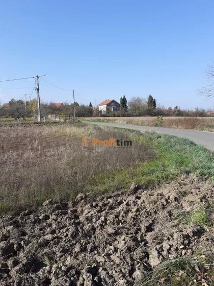 Hajduk Veljka | 4zida.rs