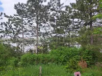 Ribnjak, Petrovaradin, Gradske lokacije, Novi Sad | 4zida.rs | 4zida.rs